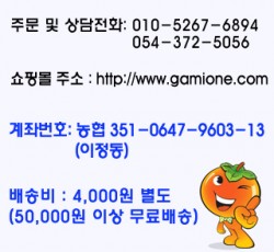 감이오네 안내사항